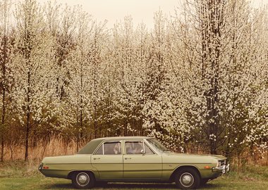 work by Nadine Rovner - It’s About Time We Go #:70684