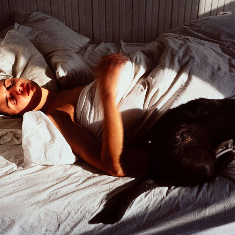 view:83555 - Nan Goldin, Siobhan with Cat - 