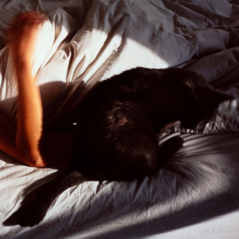 view:83561 - Nan Goldin, Siobhan with Cat - 