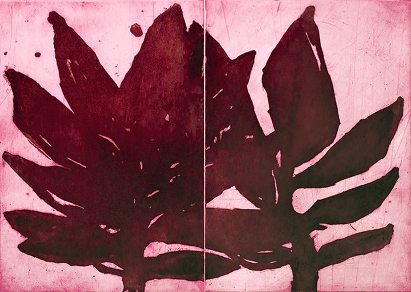 exhibition - Red Twins