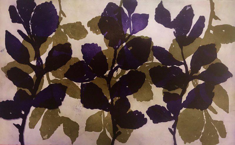 exhibition - Wilder Witch Hazel 23