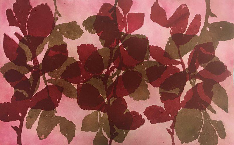 exhibition - Wilder Witch Hazel 22