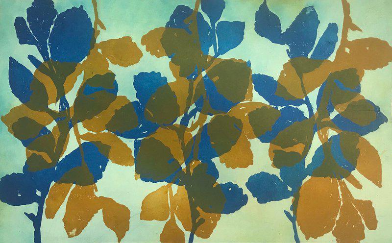 exhibition - Wild Witch Hazel 20