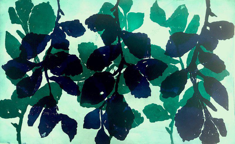 exhibition - Wild Witch Hazel 21