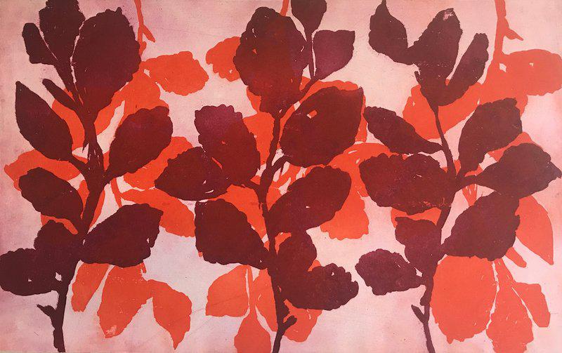 exhibition - Wild Witch Hazel 12