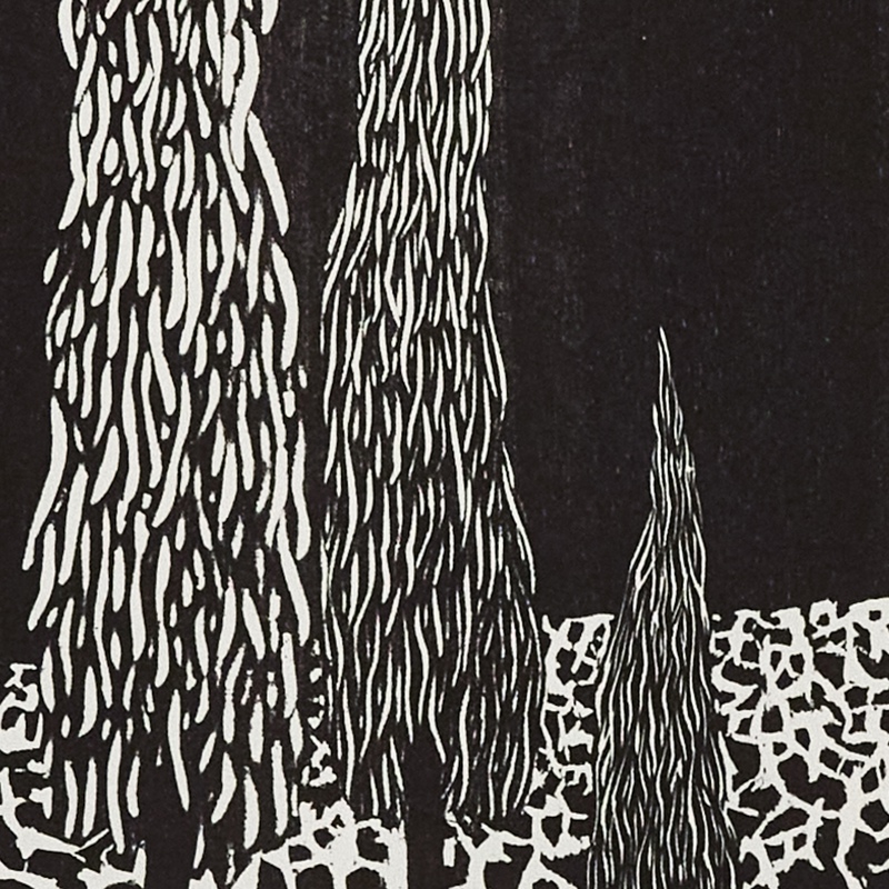 view:89529 - Nicolas Party, Trees - 