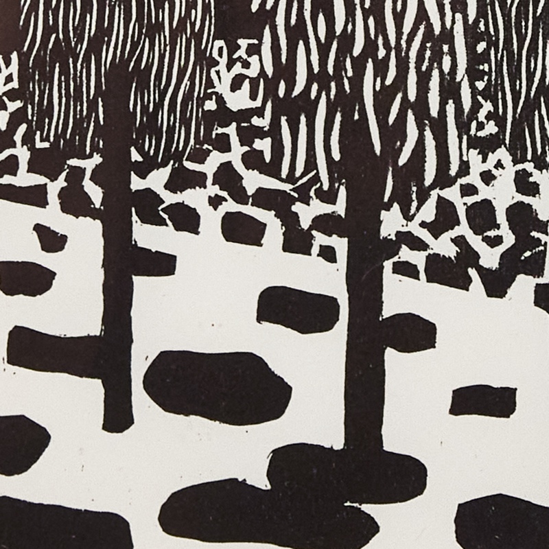 view:89531 - Nicolas Party, Trees - 