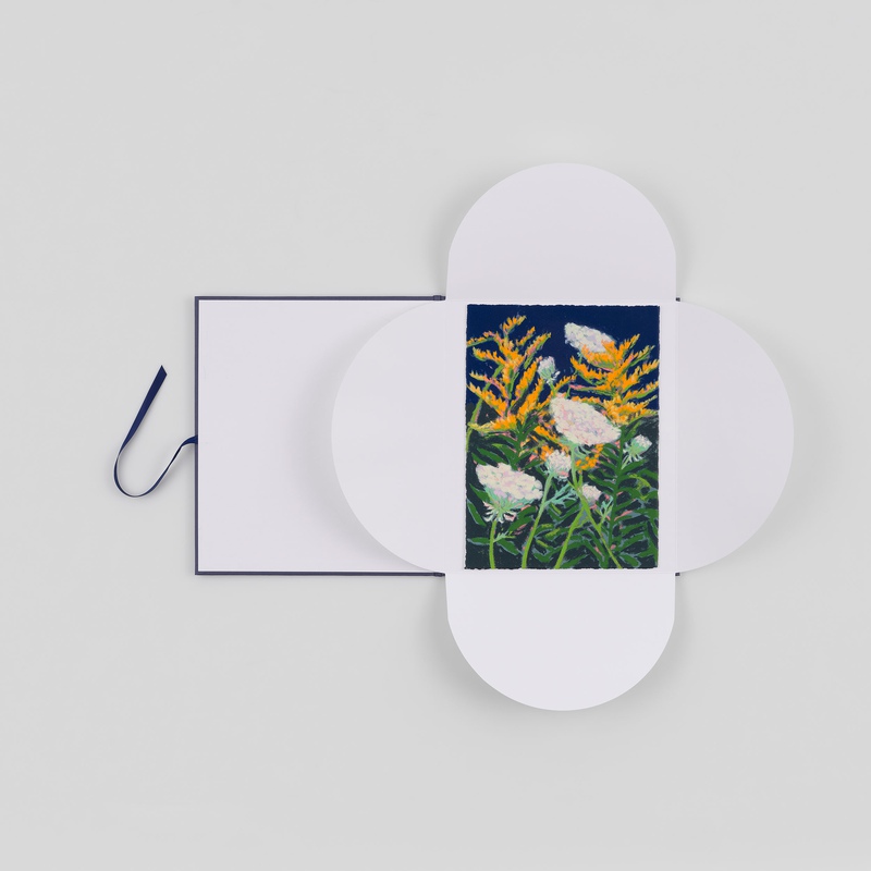 view:90035 - Nicole Wittenberg, Goldenrod and Queen Anne's Lace - 