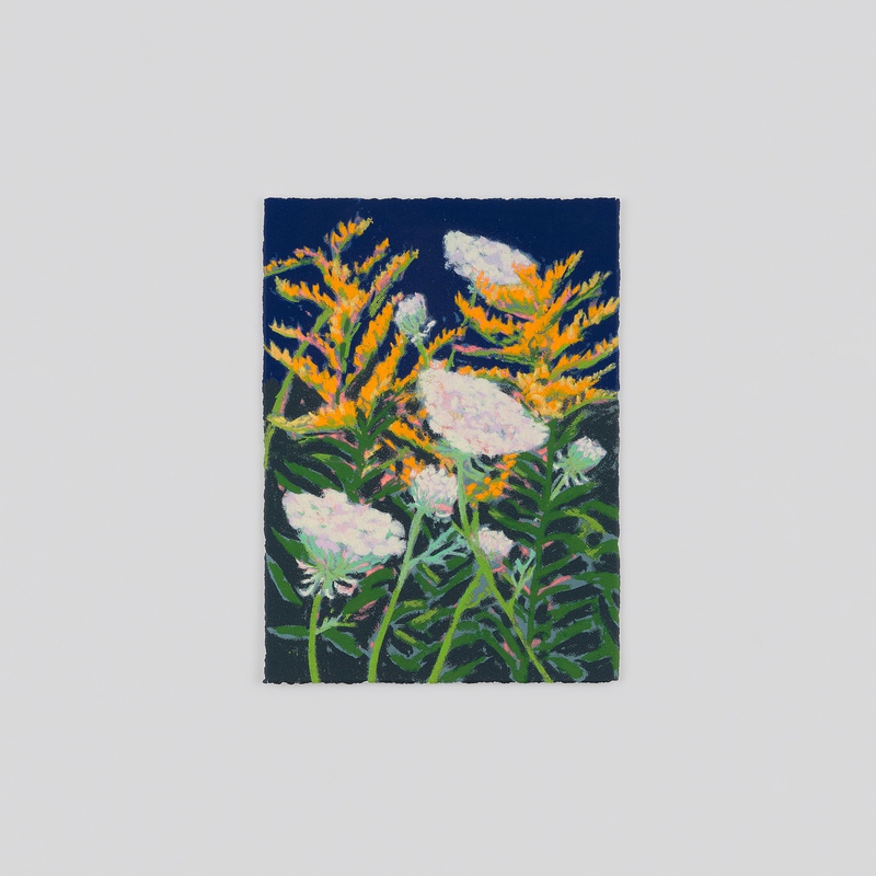 view:90036 - Nicole Wittenberg, Goldenrod and Queen Anne's Lace - 