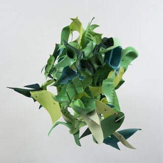 Niki Lederer, Green Machine