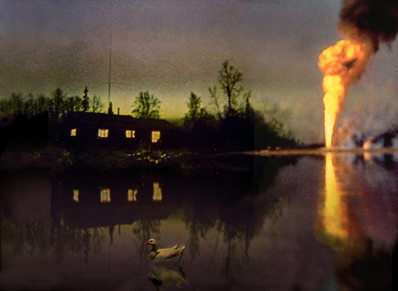 exhibition - Duck Pond, Arkansas