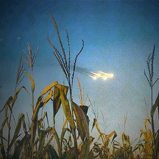 Oliver Wasow, Field and Lights