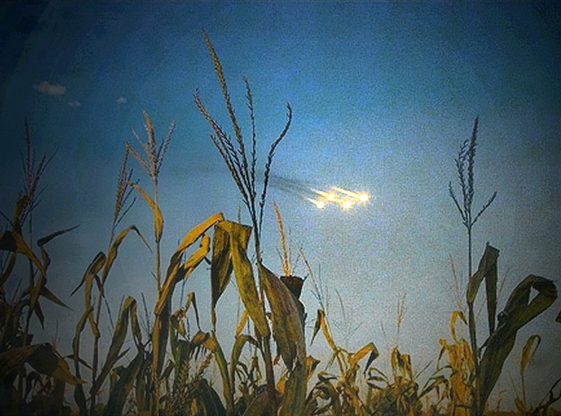 exhibition - Field and Lights
