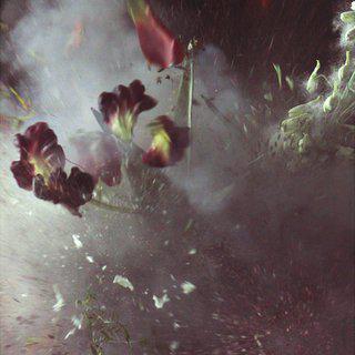 Ori Gersht, Time After Time - Untitled No. 27