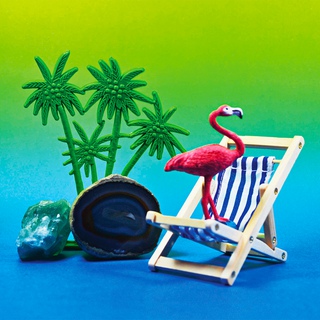 Paloma Castello, Tropicarios #1