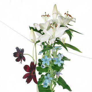 Paul Butler, Untitled (Readymade Bouquet) 02