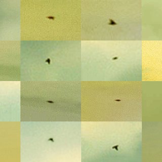 Penelope Umbrico, Suns from Sunsets from Flikr - Out-takes/Birds (Green)
