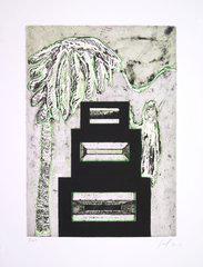 Amazon.com: Peter Doig: 9780847834730: Shiff, Richard