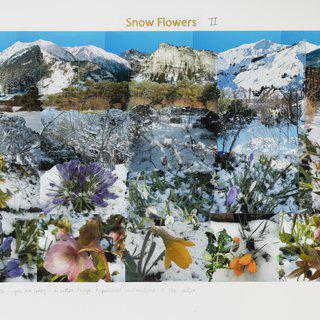 Snow Flowers II art for sale