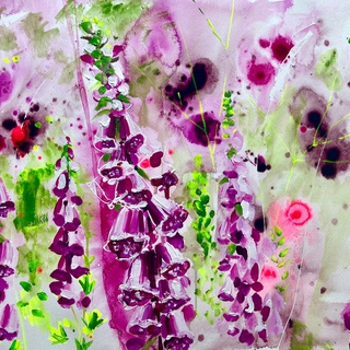 Rachael Dalzell, Fairies amongst the foxgloves