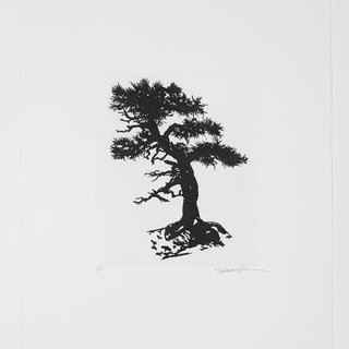 Black Pine specimen bonsai at the Sausage Factory, spring 2016 art for sale