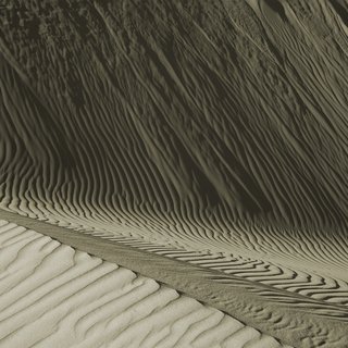 Dune Study 5 art for sale
