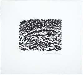 絶版　Raymond Pettibon Rizzoli RAYMOND PETTIBON 1of1 SIGNED WAVE DRAWING RIZZOLI PRINT HC