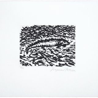 Raymond Pettibon, Iguana