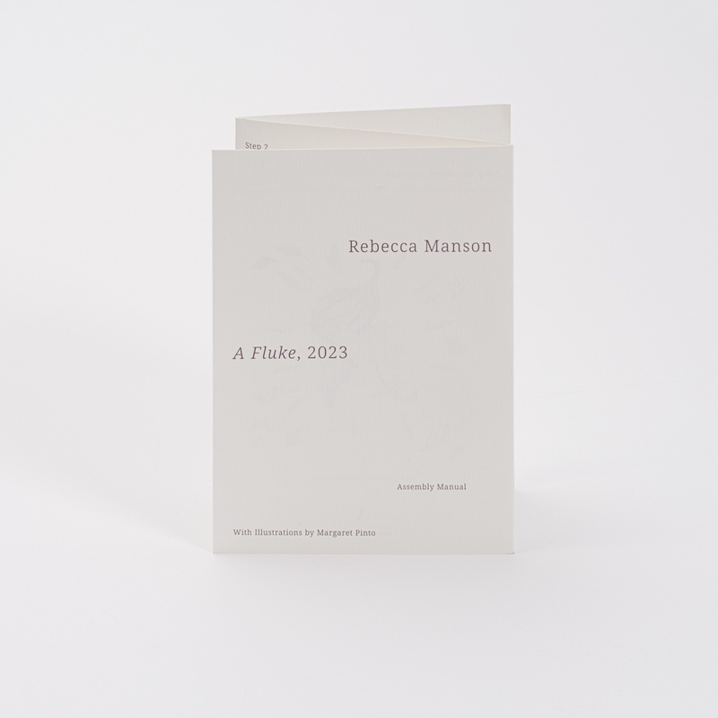 view:80383 - Rebecca Manson, A Fluke - Assembly Manual