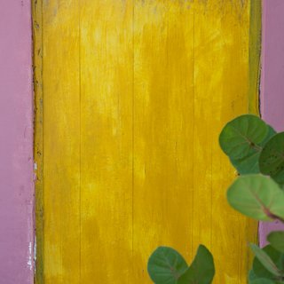 "Yellow Door on Beach House" art for sale