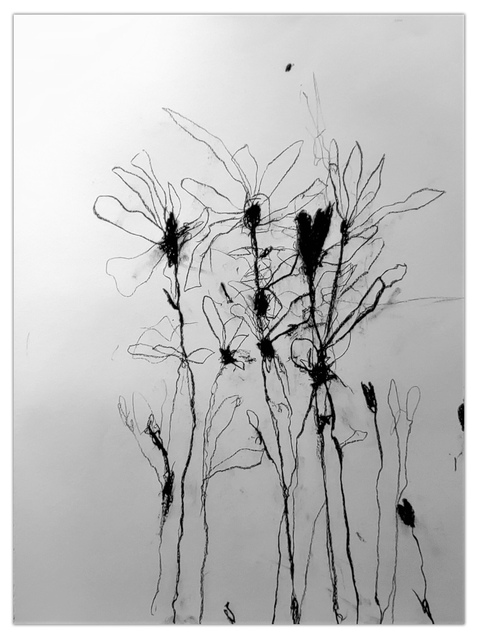 Robert Baribeau - In the weeds ink bloom #1, Work on Paper