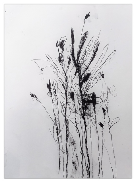Robert Baribeau - In the weeds ink bloom #3, Work on Paper