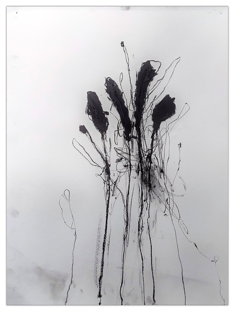 Robert Baribeau - In the weeds ink bloom #4, Work on Paper