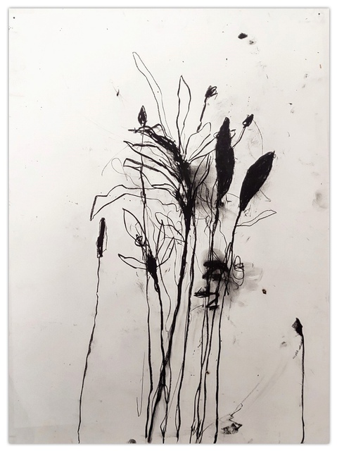 Robert Baribeau - In the weeds ink bloom #6, Work on Paper