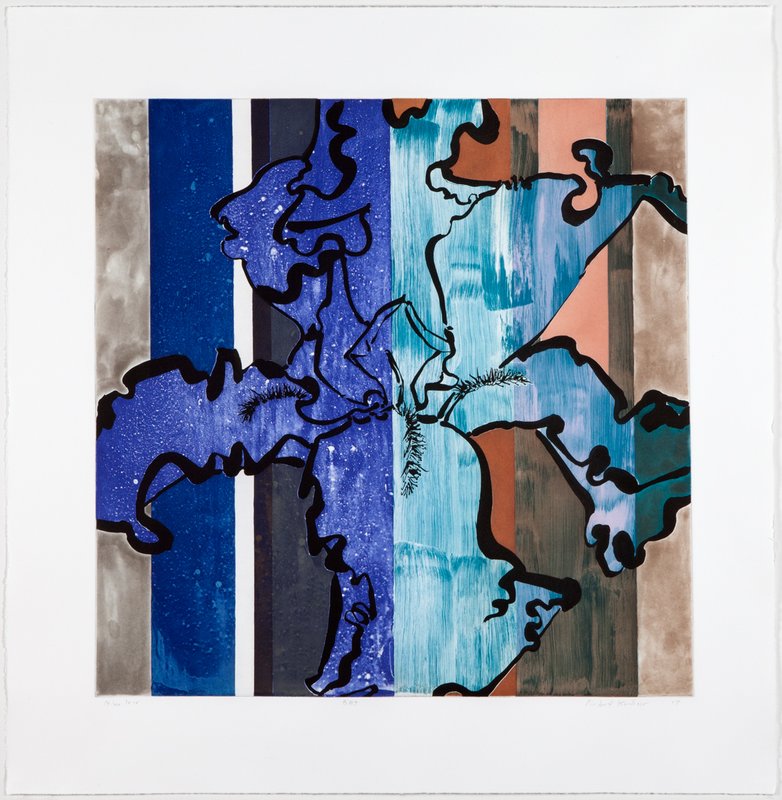 exhibition - Blue Iris