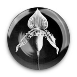 Robert Mapplethorpe - Orchid, 1987 Plate for Sale | Artspace