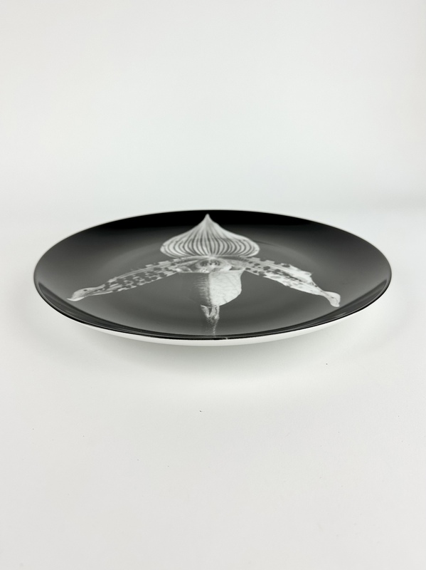 view:74980 - Robert Mapplethorpe, Orchid, 1987 Plate - 