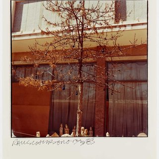 Robert Rauschenberg, Tree and Bulbs
