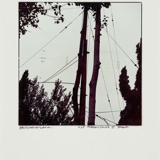 Robert Rauschenberg, Wires and Trees