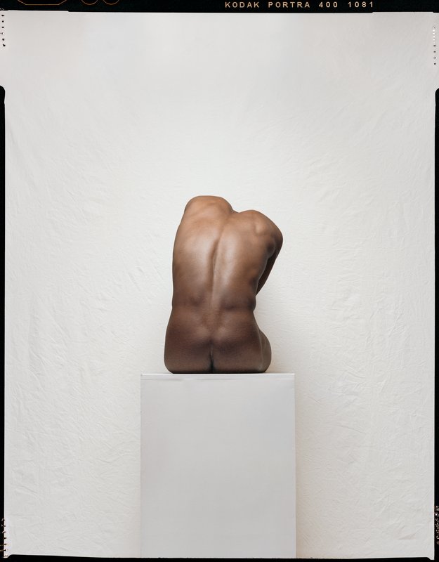 exhibition - Pale Raw Umber
