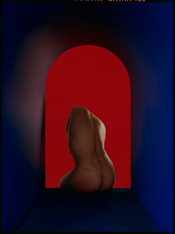 exhibition - Blue/Carmine