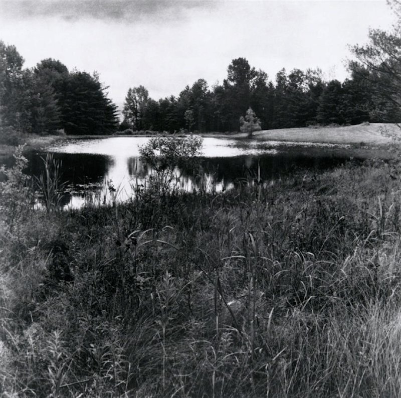 exhibition - Pond