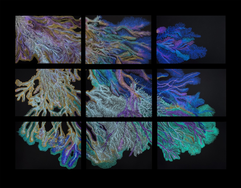 view:78883 - Sarah Hearn, Mycelium Network: 9 Panel Polyptych (p1) - 