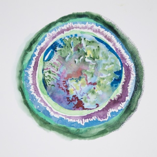 Sarah Hearn, Paramoeba perurans