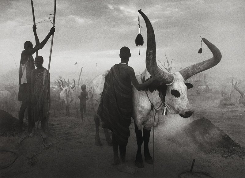 Dinka group at Pagarau, Southern Sudan, 2006 by Sebastião Salgado