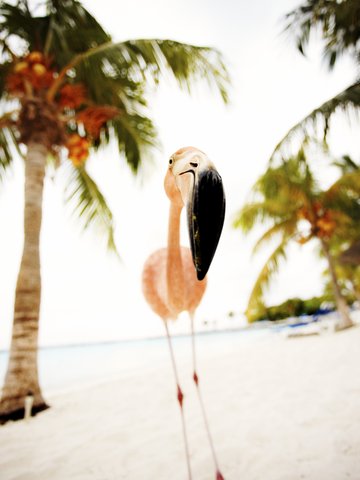 Shannon Greer - Franky the Flamingo