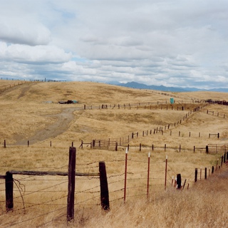 Sharon Lockhart, Cattle Ranch, Tulare County, California