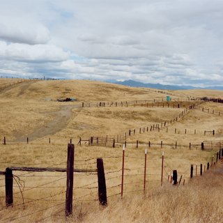 Sharon Lockhart, Cattle Ranch, Tulare County