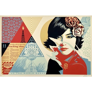 Shepard Fairey, Open Minds