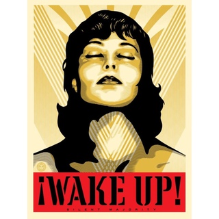 Shepard Fairey, Wake Up